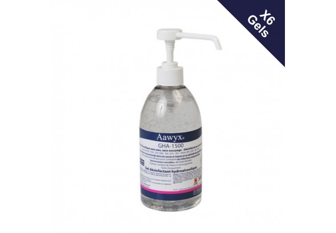 6 Gels Hydroalcoolique 500ML avec pompe (7,40€ TTC le flacon)